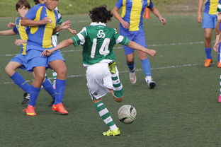 开云体育平台APP-罗马逆转瑞典，罗本惊艳世界：一场震撼心灵的足球盛宴