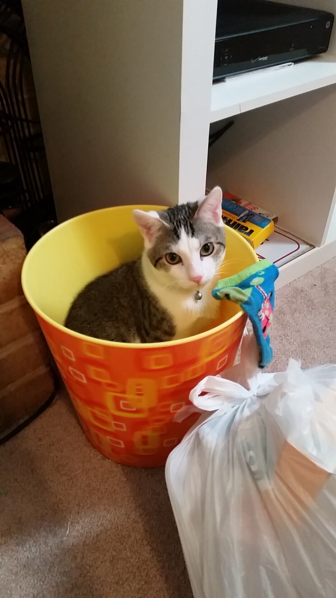 开云体育官方网站-掘金关键战绝杀湖人，杜兰特在NBA舞台上演英超式接管艺术