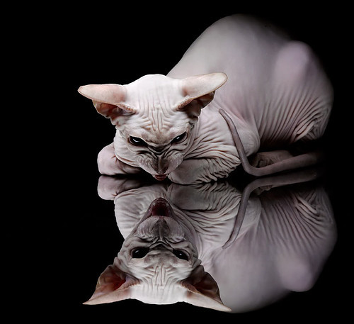 掘金关键战绝杀湖人,杜兰特在NBA舞台上演英超式接管艺术