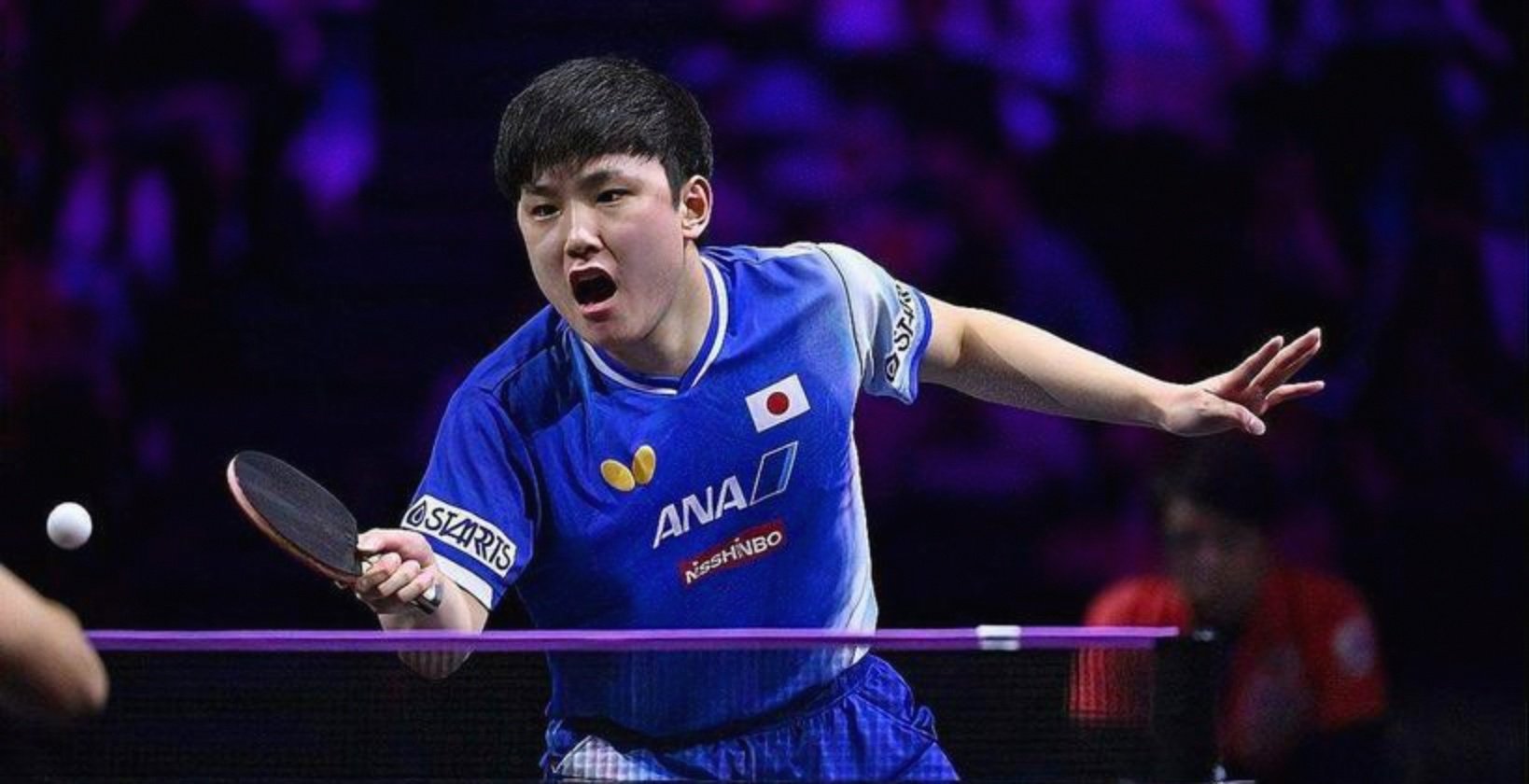 波兰队完胜法国队，张本智和点燃赛场