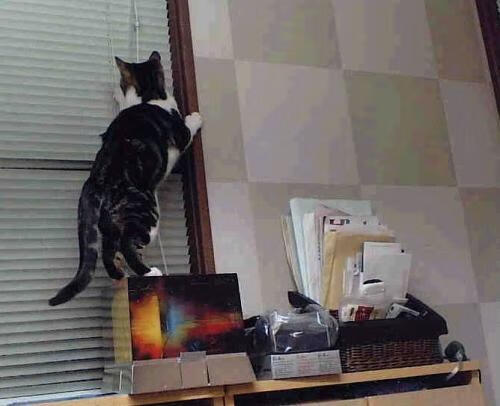 开云官网-克莱·汤普森冠军级复苏，季后赛之夜，他用三分雨与沉默的回击定义传奇